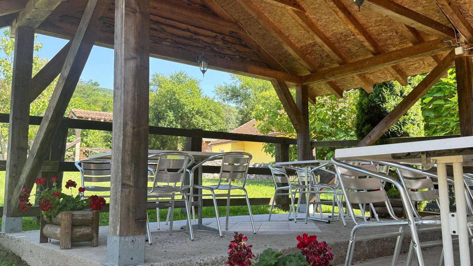 Forest Camp Despotovac Dış mekan fotoğraf