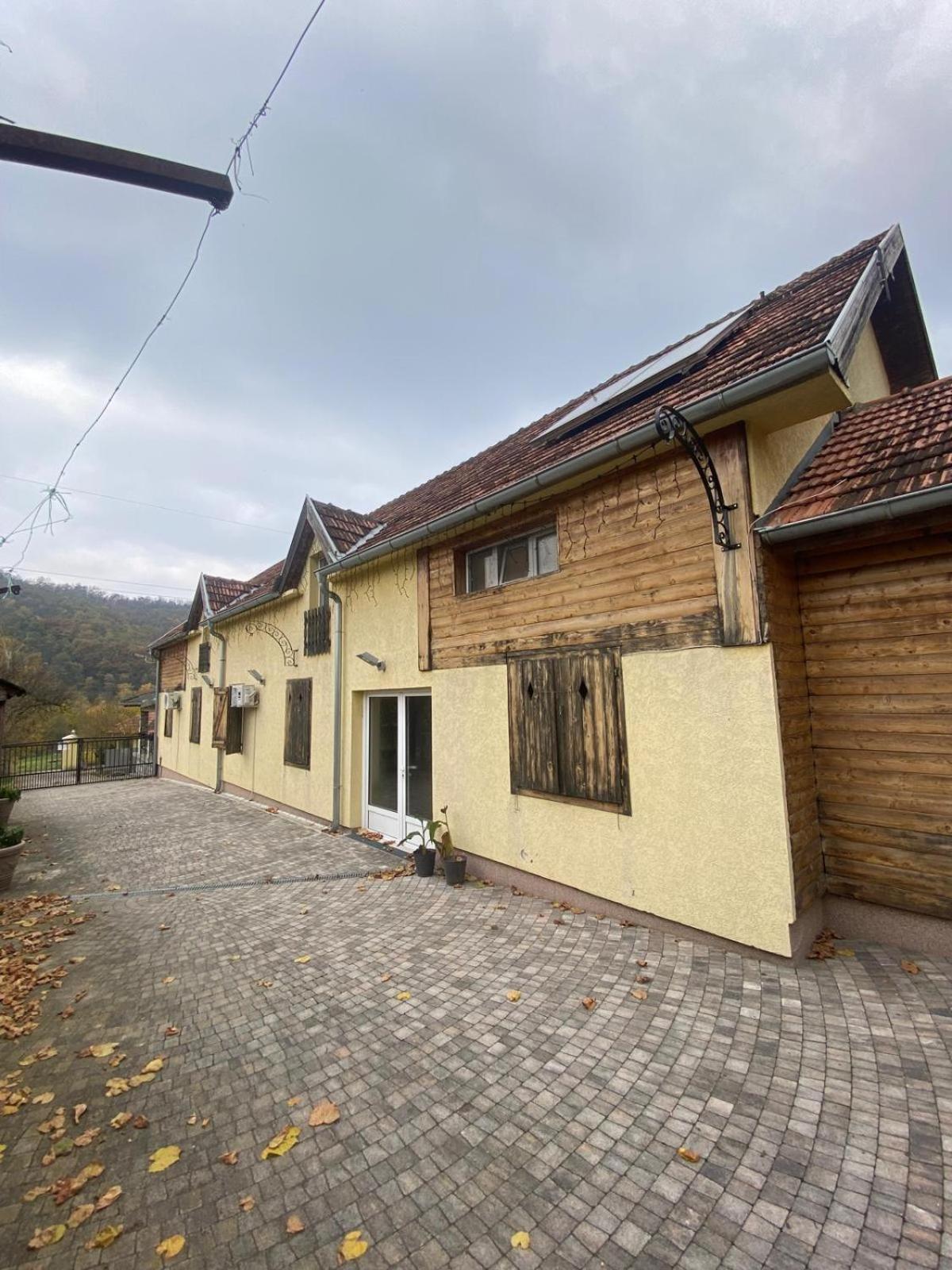 Forest Camp Despotovac Dış mekan fotoğraf