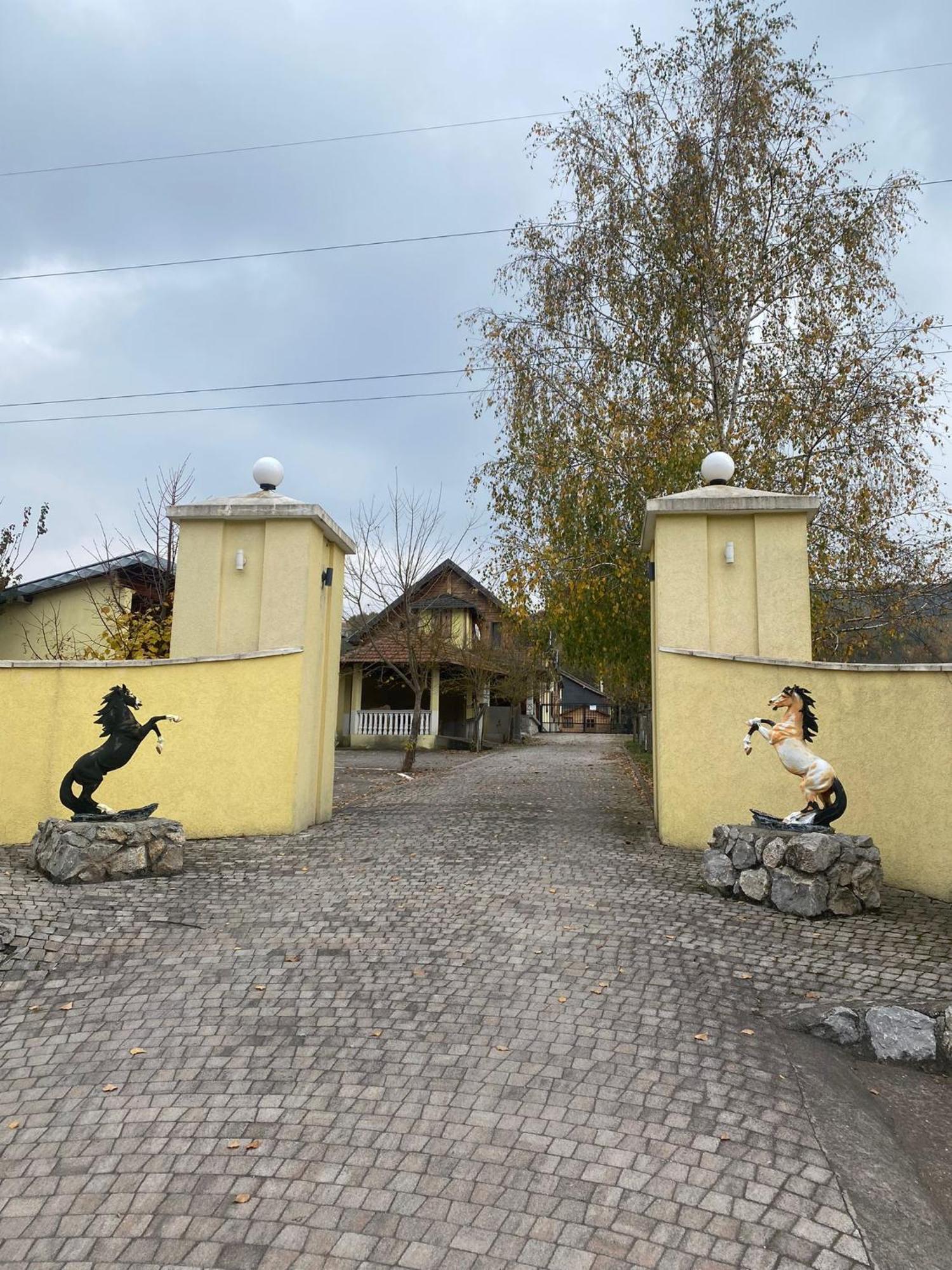Forest Camp Despotovac Dış mekan fotoğraf