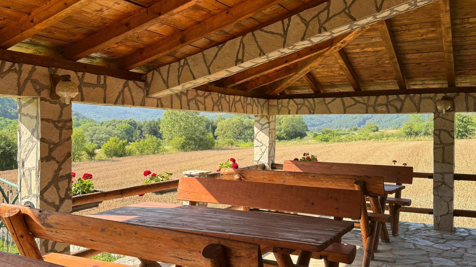 Forest Camp Despotovac Dış mekan fotoğraf