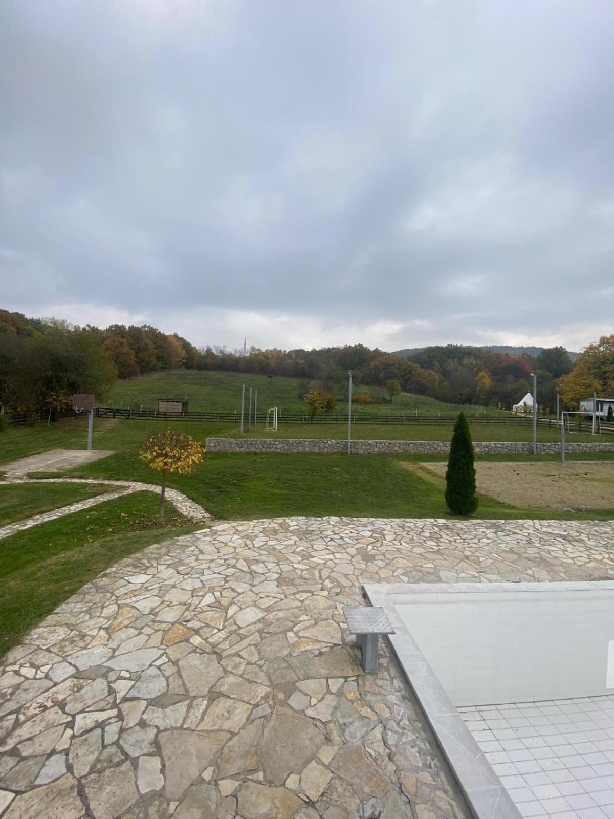 Forest Camp Despotovac Dış mekan fotoğraf