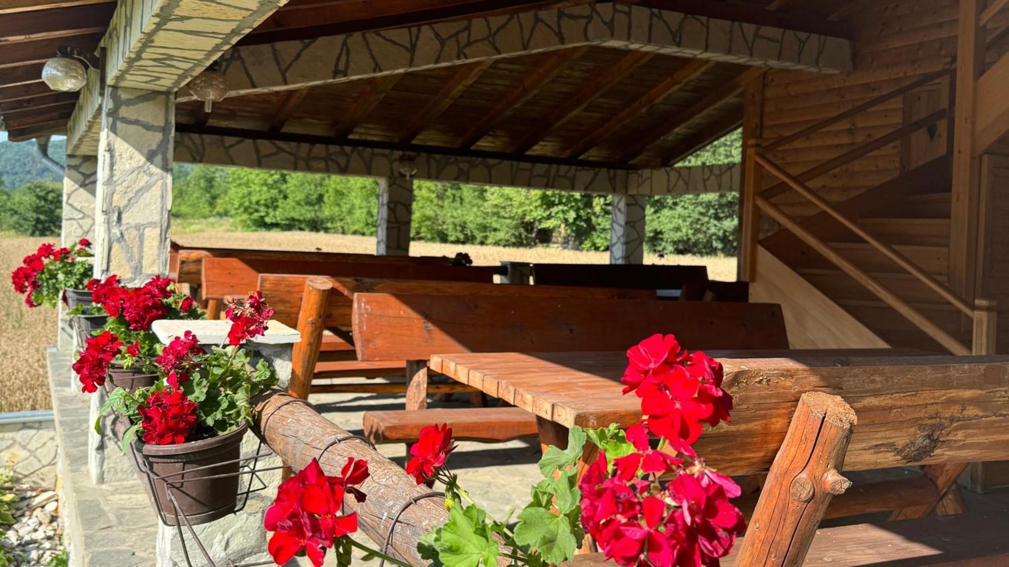 Forest Camp Despotovac Dış mekan fotoğraf